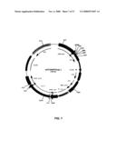 RECOMBINANT PROTEIN PRODUCTION IN A HUMAN CELL diagram and image