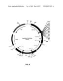 RECOMBINANT PROTEIN PRODUCTION IN A HUMAN CELL diagram and image