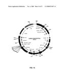 RECOMBINANT PROTEIN PRODUCTION IN A HUMAN CELL diagram and image