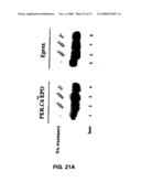 RECOMBINANT PROTEIN PRODUCTION IN A HUMAN CELL diagram and image