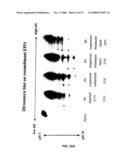 RECOMBINANT PROTEIN PRODUCTION IN A HUMAN CELL diagram and image