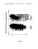 RECOMBINANT PROTEIN PRODUCTION IN A HUMAN CELL diagram and image