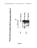 RECOMBINANT PROTEIN PRODUCTION IN A HUMAN CELL diagram and image