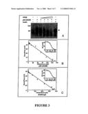 SOLUBLE ErbB3 RECEPTOR ISOFORMS diagram and image