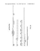 Expression system for enhancing solubility and immunogeneicity of recombinant proteins diagram and image