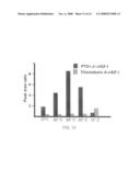 Expression system for enhancing solubility and immunogeneicity of recombinant proteins diagram and image