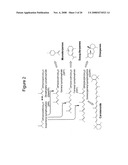 PRODUCTION OF ISOPRENOIDS diagram and image