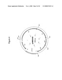 PRODUCTION OF ISOPRENOIDS diagram and image