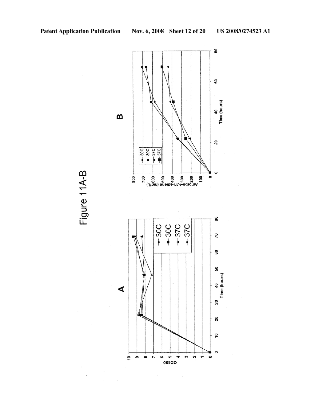 PRODUCTION OF ISOPRENOIDS - diagram, schematic, and image 13