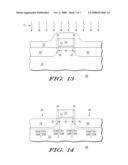 METHOD OF FORMING A TRANSISTOR HAVING MULTIPLE TYPES OF SCHOTTKY JUNCTIONS diagram and image