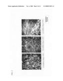 Corrosion-resistant material manufacturing method diagram and image