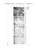 Corrosion-resistant material manufacturing method diagram and image