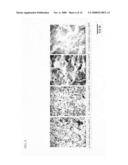 Corrosion-resistant material manufacturing method diagram and image