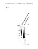 Conjugates of Hydroxyalkyl Starch and G-Csf diagram and image