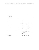 Conjugates of Hydroxyalkyl Starch and G-Csf diagram and image