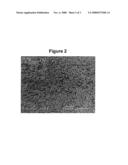 Production Of Olefin Polymerization Catalysts diagram and image