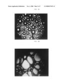 Photodynamic foam composition and sclerosis treatment diagram and image