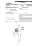 Biomedical Member and Method for Producing the Same diagram and image