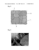 Biomedical Member and Method for Producing the Same diagram and image