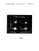 Methods and Compositions Related to Delivery of Chemical Compounds to Invertebrate Embryos diagram and image