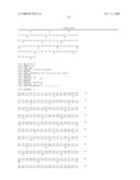 HOMOGENEOUS PREPARATIONS OF IL-28 AND IL-29 diagram and image