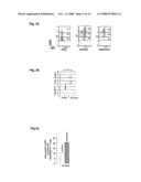 Method for Expanding Cd4+ Cd25+ T Regulator Cells diagram and image