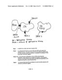 Novel Therapeutic Molecular Variants And Uses Thereof diagram and image