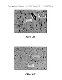 METHODS OF TREATMENT AND PREVENTION OF NEURODEGENERATIVE DISEASES AND DISORDERS diagram and image