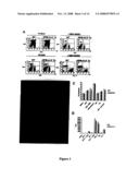 ALK protein tyrosine kinase, cells and methods embodying and using same diagram and image