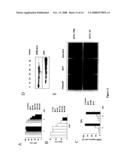 ALK protein tyrosine kinase, cells and methods embodying and using same diagram and image