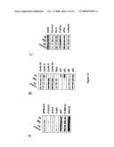 ALK protein tyrosine kinase, cells and methods embodying and using same diagram and image