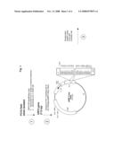 USE OF A PCV2 IMMUNOGENIC COMPOSITION FOR LESSENING CLINICAL SYMPTOMS IN PIGS diagram and image