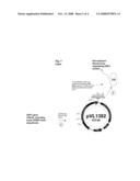 USE OF A PCV2 IMMUNOGENIC COMPOSITION FOR LESSENING CLINICAL SYMPTOMS IN PIGS diagram and image