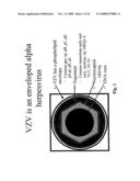 Genetically engineered cell lines and systems for propagating varicella zoster virus and methods of use thereof diagram and image