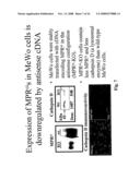 Genetically engineered cell lines and systems for propagating varicella zoster virus and methods of use thereof diagram and image