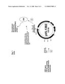 USE OF A PCV2 IMMUNOGENIC COMPOSITION FOR LESSENING CLINICAL SYMPTOMS IN PIGS diagram and image