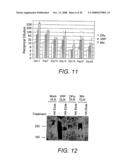 Viral Adjuvants diagram and image