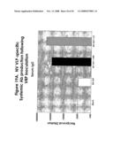 Viral Adjuvants diagram and image