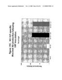 Viral Adjuvants diagram and image