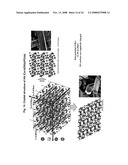 Hydroxyapatite-Binding Peptides for Bone Growth and Inhibition diagram and image