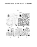 Hydroxyapatite-Binding Peptides for Bone Growth and Inhibition diagram and image