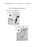 Hydroxyapatite-Binding Peptides for Bone Growth and Inhibition diagram and image