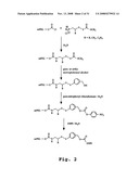 Releasable linkage and compositions containing same diagram and image