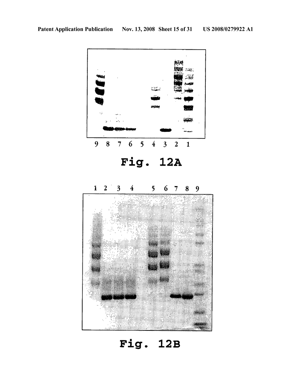 Releasable linkage and compositions containing same - diagram, schematic, and image 16