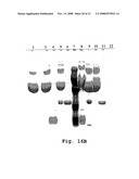 Releasable linkage and compositions containing same diagram and image