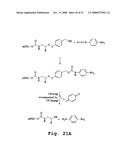 Releasable linkage and compositions containing same diagram and image