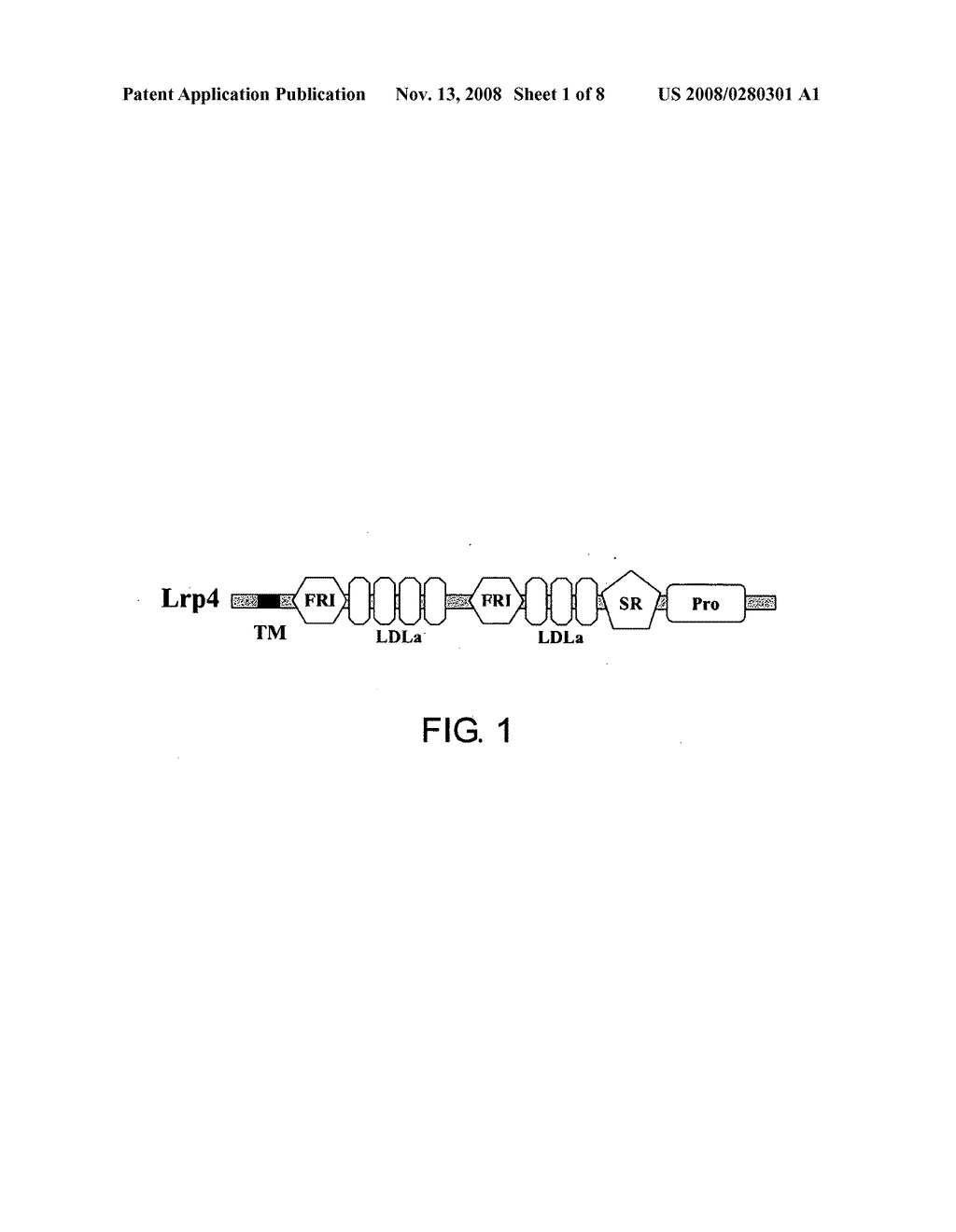 Lrp4/Corin DOPAMINERGIC NEURON PROLIFERATIVE PROGENITOR CELL MARKERS - diagram, schematic, and image 02