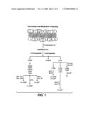 Methods for Bone Treatment by Modulating an Arachidonic Acid Metabolic or Signaling Pathway diagram and image