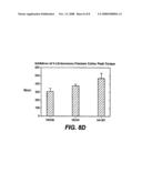 Methods for Bone Treatment by Modulating an Arachidonic Acid Metabolic or Signaling Pathway diagram and image