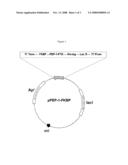 FUSION PROTEIN COMPRISING FK506 BINDING PROTEIN AND METHOD OF MAKING AND USING THE SAME diagram and image